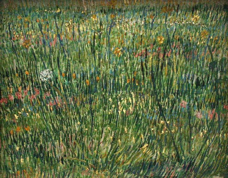 Vincent Van Gogh Patch of Grass France oil painting art